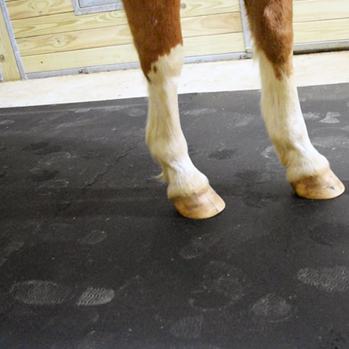 close up of rubber interlocking mats over concrete in barn aisle with horse standing on top