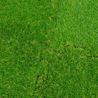 Artificial Grass Turf Tile - Artificial Turf, Grass Turf Tile