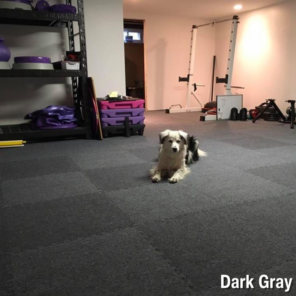 Royal Interlocking Carpet Tiles in Basement Gym showing a dog