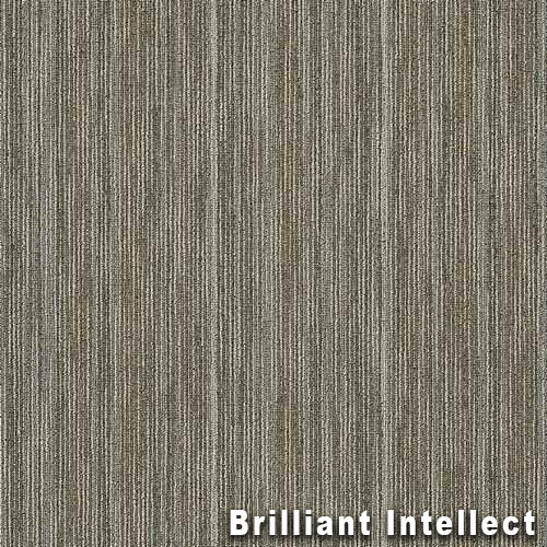 Intellect Commercial Carpet Tiles brilliant intellect full.