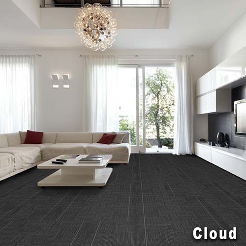 Echo Commercial Carpet Tiles 24x24 Inch Carton of 18 Living Room Install