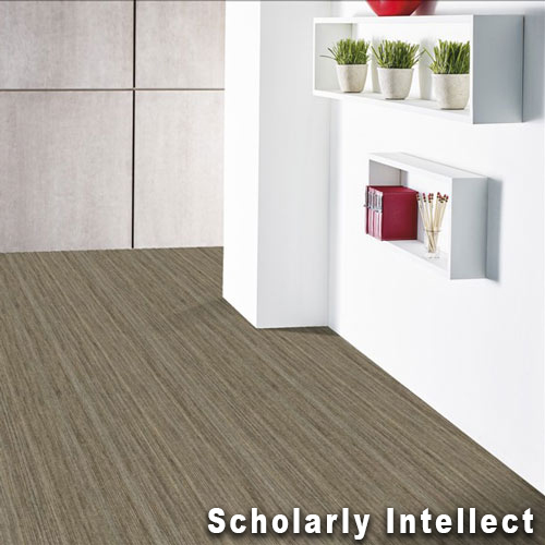 Intellect Commercial Carpet Tiles scholarly intellect install.