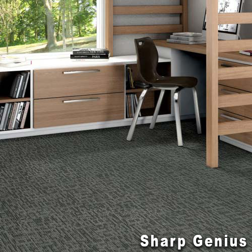 Genius Commercial Carpet Tiles genius install 1.
