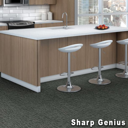 Genius Commercial Carpet Tiles genius install 3.