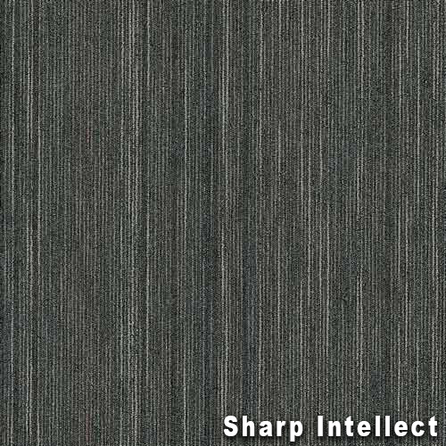Intellect Commercial Carpet Tiles sharp intellect full.