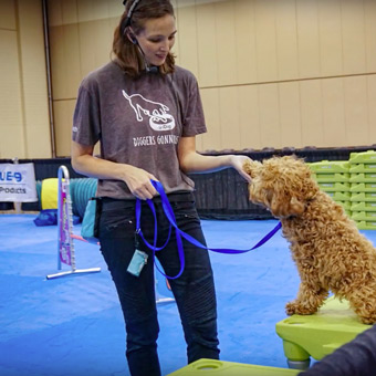 Greatmats Dog Agility Mats at Association of Professional Dog Trainers Memphis Conference