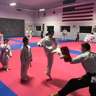 taekwondo mats for sale