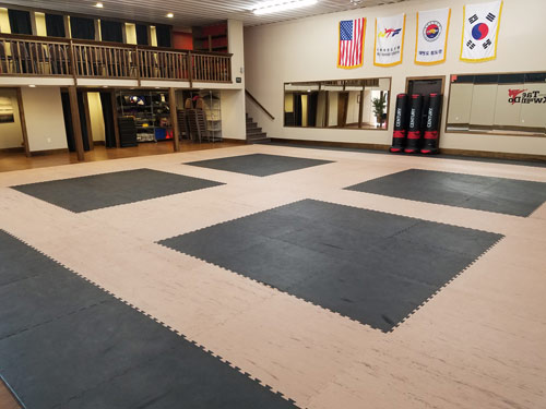 Reversible Martial Arts Mats for Dojang