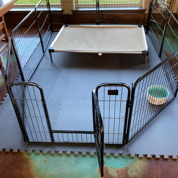https://www.greatmats.com/images/content/dog-crate-floor-protector.jpg