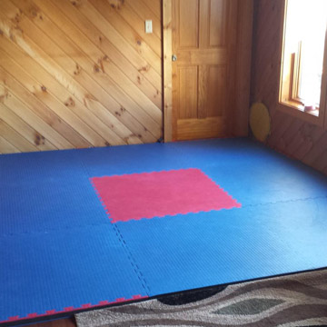 home wrestling mat