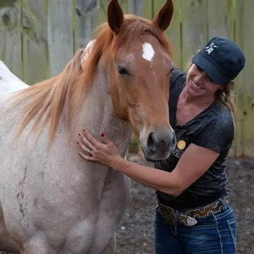 Striking KMA Performance Horses Ranch Kelly Alley’ layout=