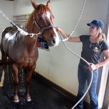 horse floor mats