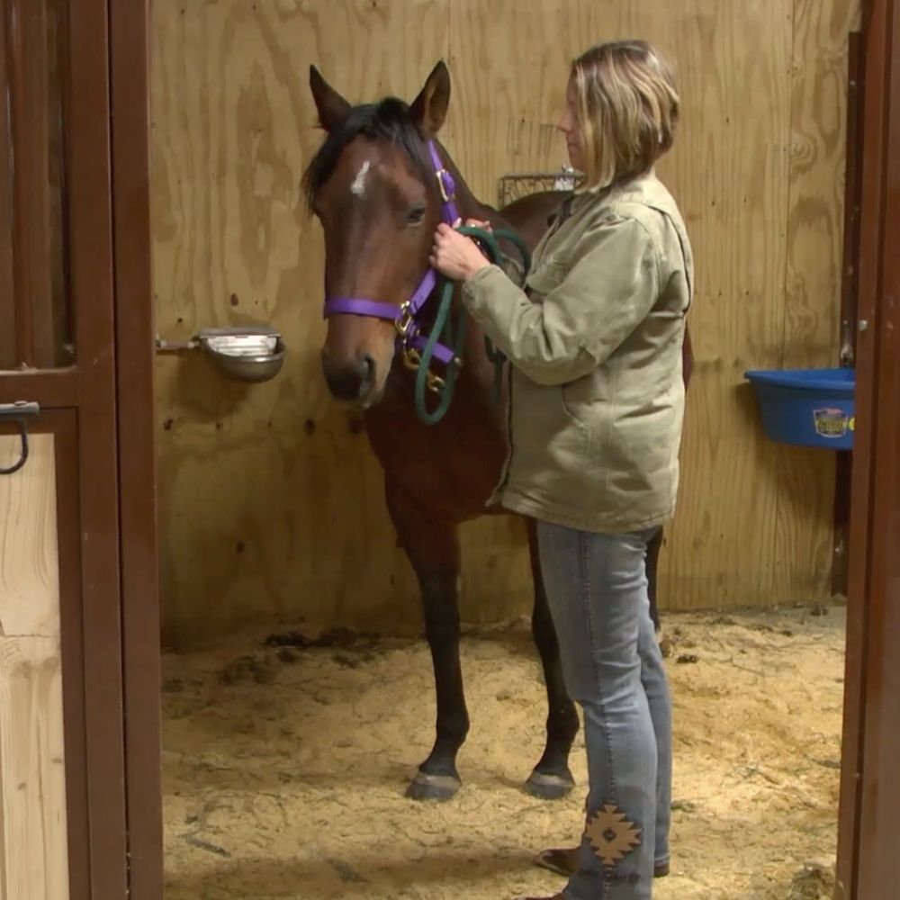 Majestic Hills Ranch testimonial horse stall mat kit