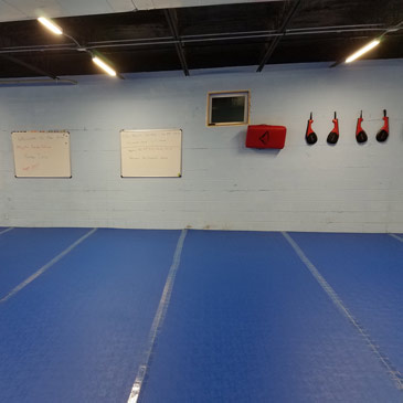 Roll Out Judo Mats with Smooth Surface