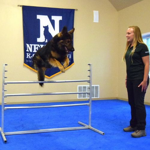 Dog Training Flooring at Neuman K9 Academy