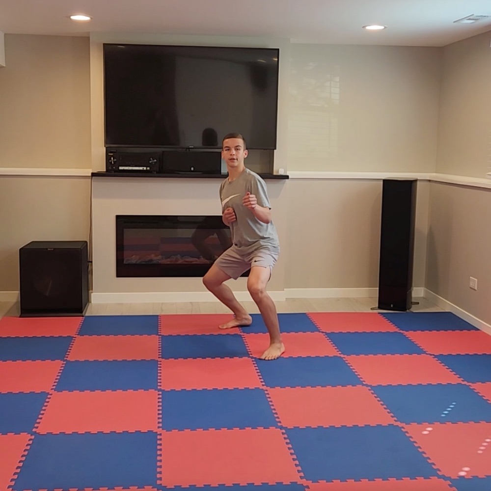 home exercise mat for fitness and martial arts