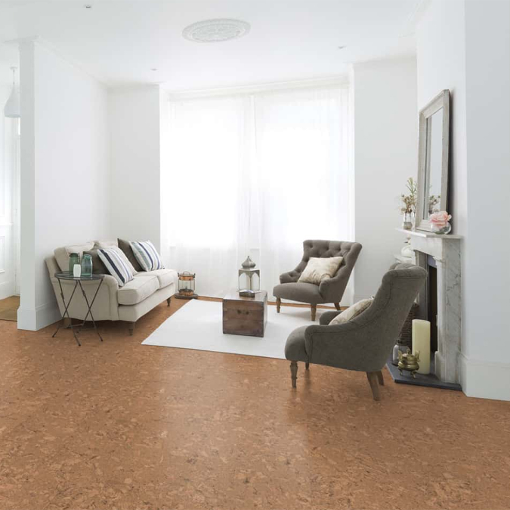 Living room Cork Laminate Flooring living room