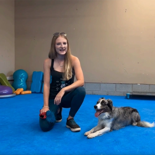 Sara Carson testimonial using dog agility foam mats for dog training