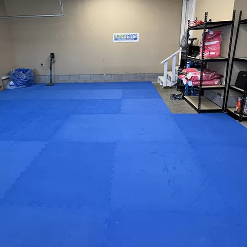 sara carsons dog training garage space