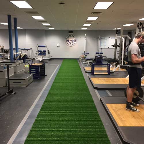 Gym Turf 365  Portable Indoor Sports Turf per SFgrass strip.