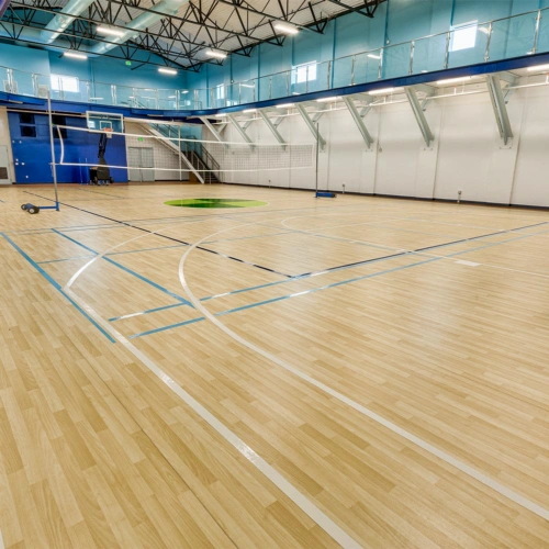 commercial vinyl flooring rolls in school gym