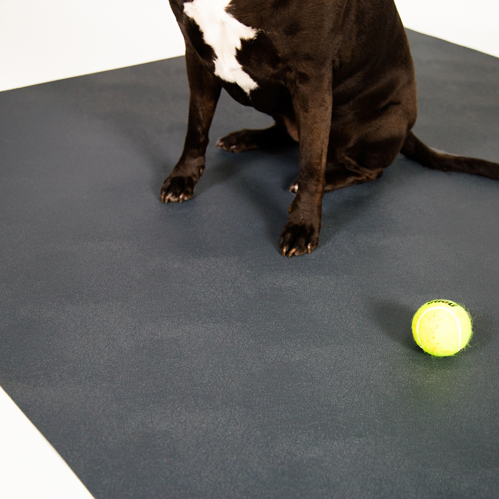 Dog want to play ball on G-Floor Protective Kennel Floor Mat Levant Texture 55 mil x 5x10 Ft. in slate gray