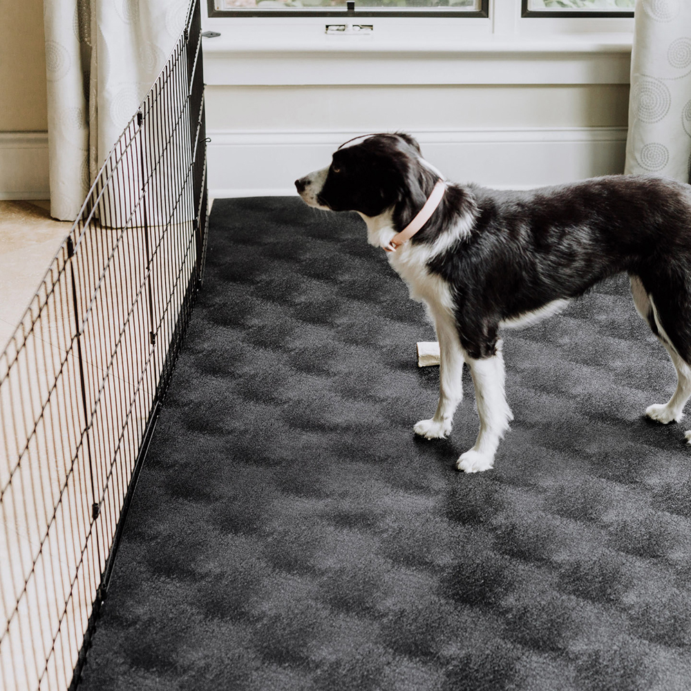 Dog playpen floor protection hotsell