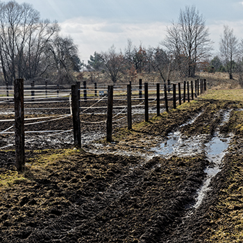 Horse Paddock Mud Control Grid