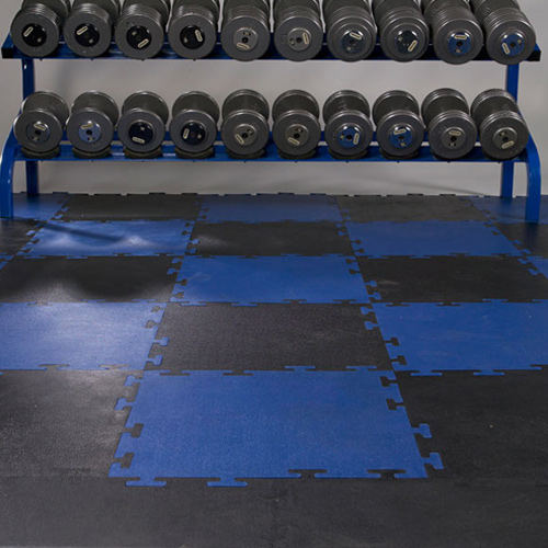 School Gym Floor With Weight Rack