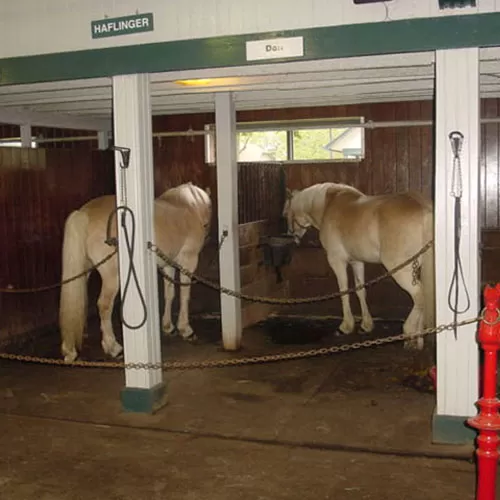 Horse Stall Mats Seattle Wa Stable Mats Seattle Rubber Stable Mats