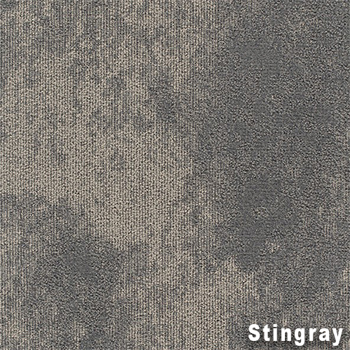 High Tide Commercial Carpet Tile .31 Inch x 50x50 cm per Tile Stingray close up