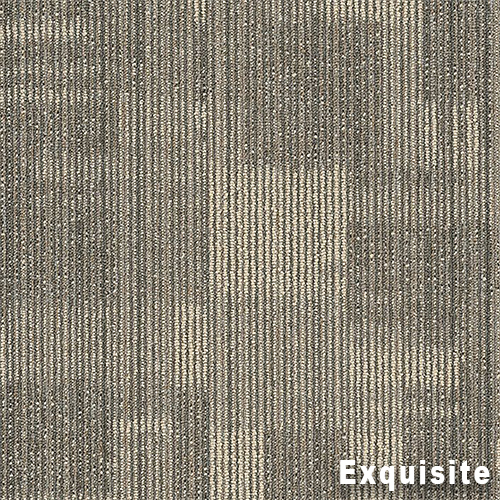 Point of View Commercial Carpet Plank .27 Inch x 18x36 Inches 10 per Carton Exquisite color close up