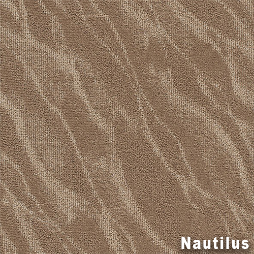 Riverine Commercial Carpet Tile .31 Inch x 50x50 cm per Tile Nautilus color close up