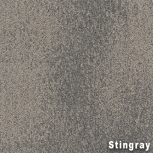 Understatement Commercial Carpet Tile .31 Inch x 50x50 cm per Tile Stingray color close up