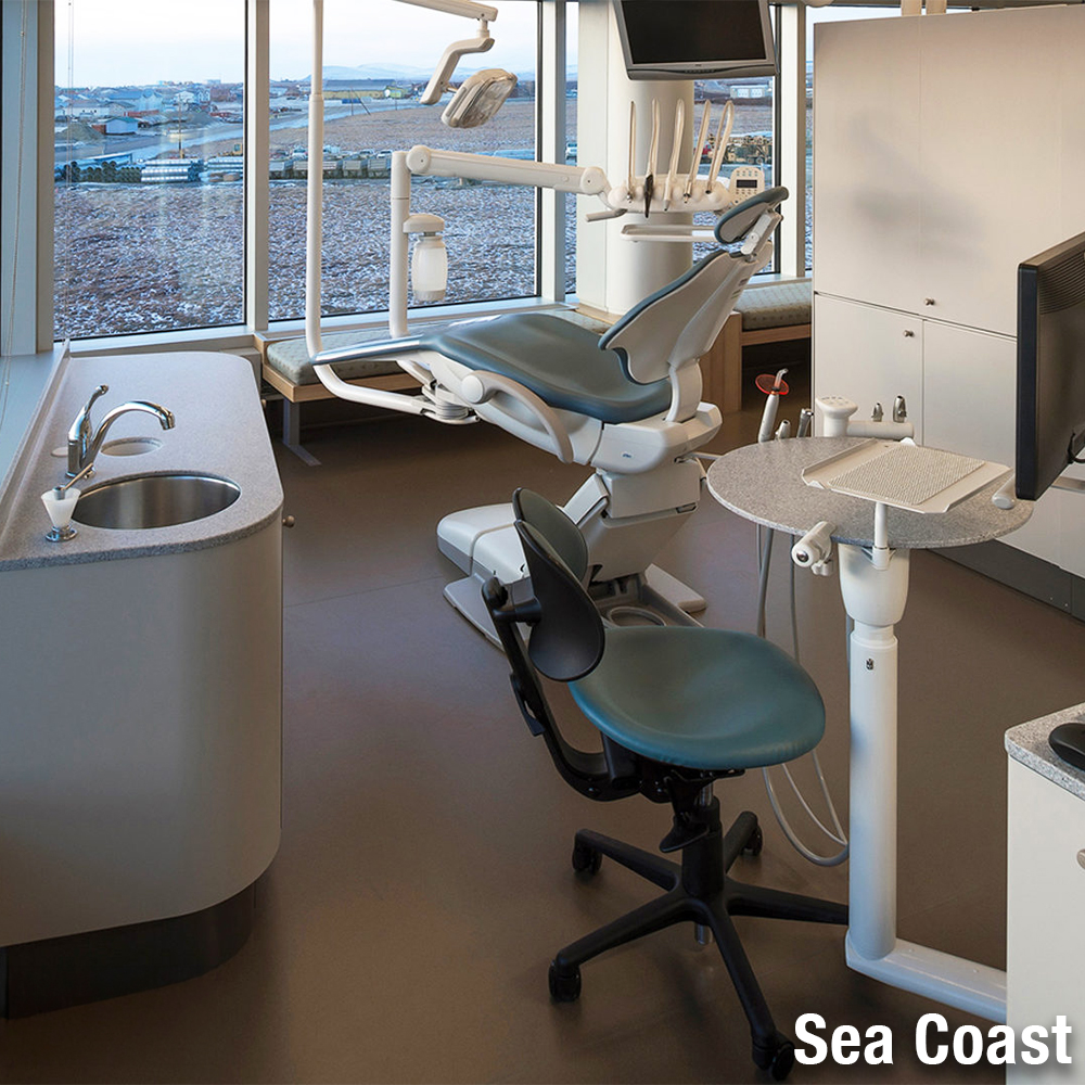 LonEco Commercial Vinyl Rolls with Topseal 6x60 Ft sea coast in dentist office