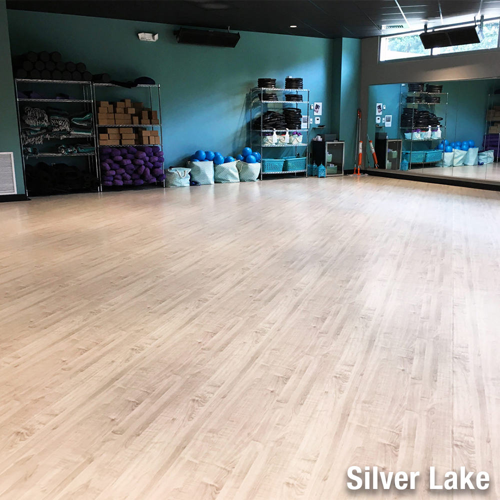 LonWood Performa Full Bolt gym silver lake