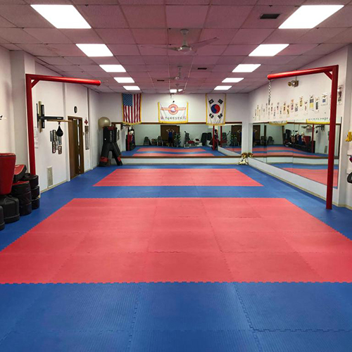 BJJ Mats for Home, Judo & MMA 1-1/2 Inch x 2x2 Ft.
