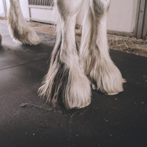 4x6 Portable Horse Stall Mats