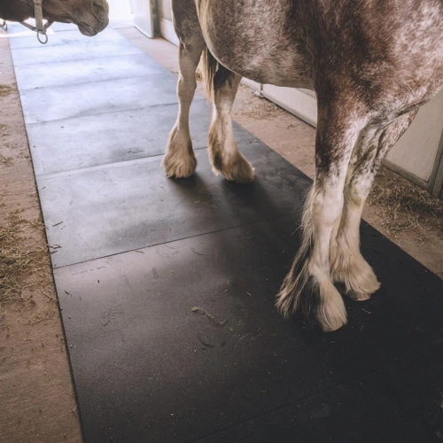 Horse Trailer Mats