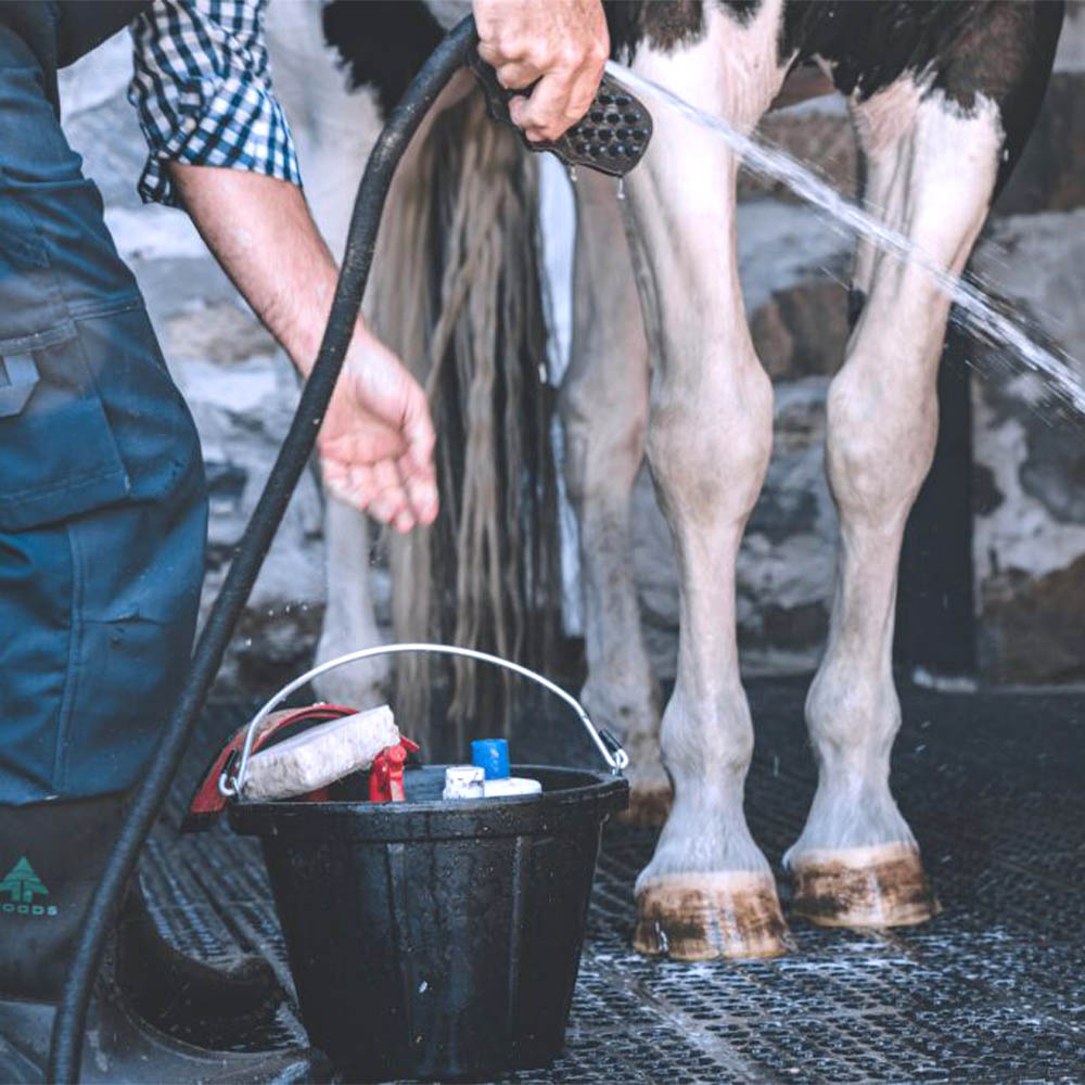 person washing horse in outdoor wash bay with rubber perforated mats