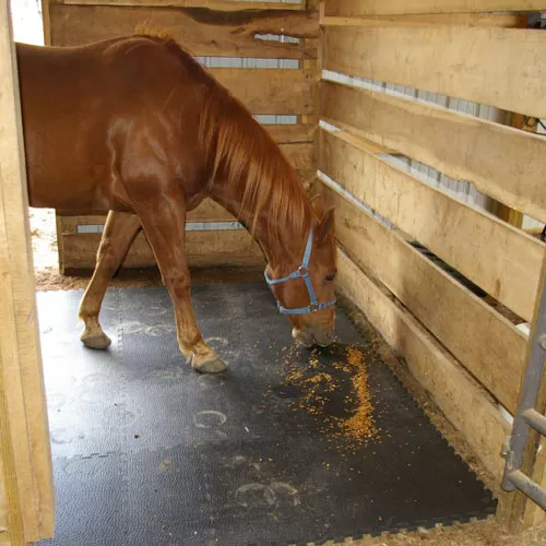 2x2 ft Interlocking Horse Stall Mat Tiles