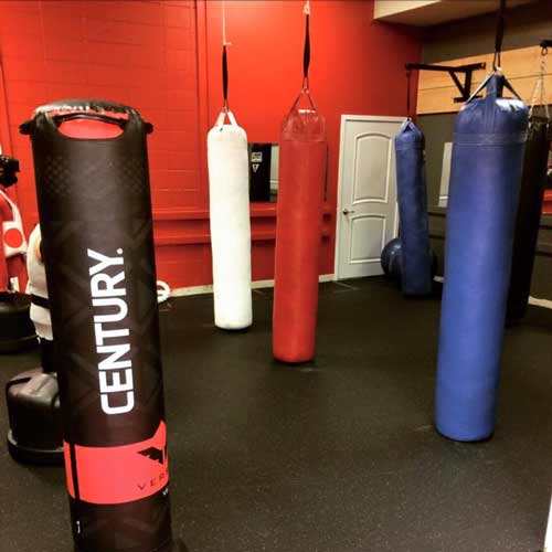 Boxing Bags  The Best Heavy Bags for Your Home Gym