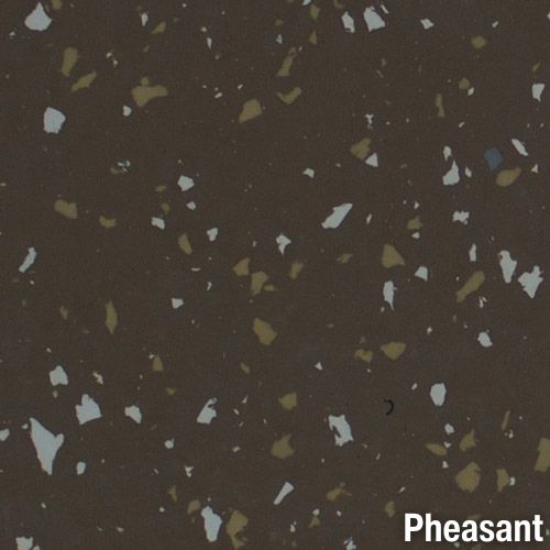 Spectation Gym Floor Rubber Tiles Straight Edges Pheasant