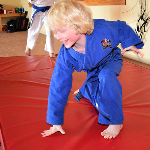 Gymnastics Bi-Fold Training Skill Cushion Mats