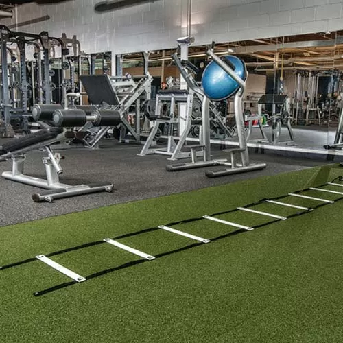 The Best Strength and Conditioning Artificial Grass Turf Video