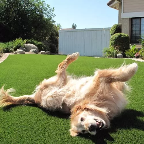 Artificial Grass Turf UltimatePet per SF