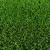 GreenSpace Artificial Turf Mat 1/2 Inch x 6x9 Ft. texture