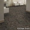 Cityscope Commercial Carpet Tile 24x24 Inch Carton of 24 Civitan Trail Install Quarter Turn