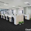 Echo Commercial Carpet Tiles in color Cloud in alternating half pattern in office