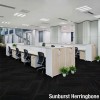 Reverb Commercial Carpet Planks in sunburst color installed in herringbone pattern in office